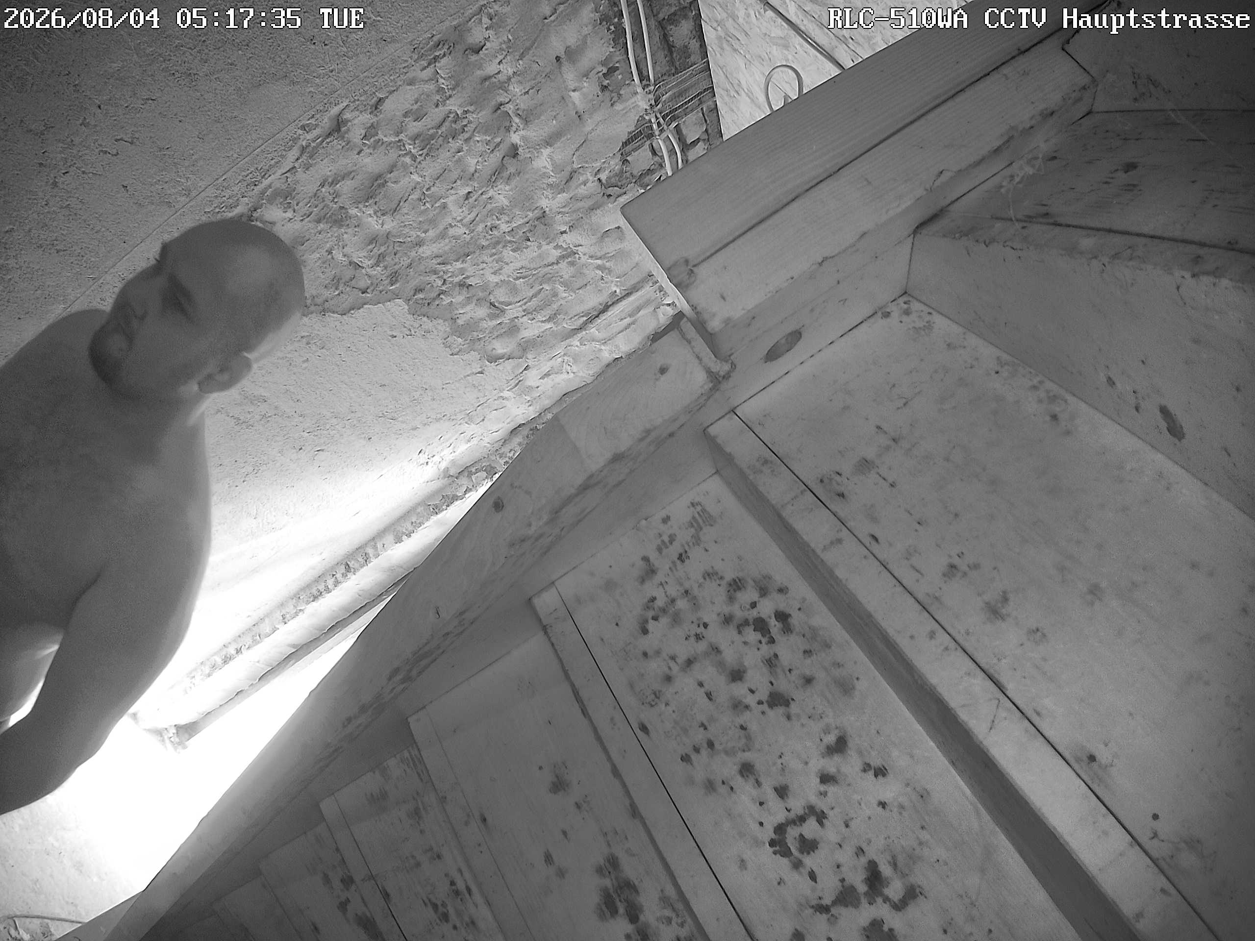 RLC-510WA CCTV Hauptstrasse_00_20260804051736.jpg